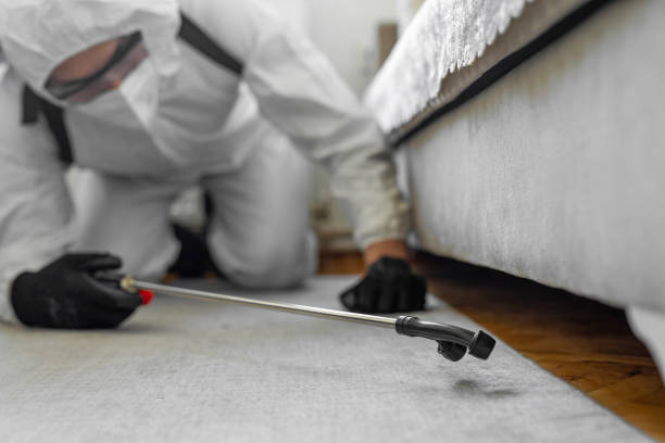 Professional Termite Control technician working in Hilmar-Irwin, CA