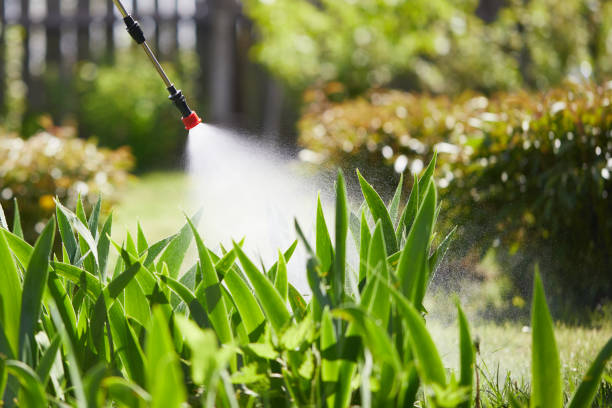 24/7 Emergency Termite Control experts in Hilmar-Irwin, CA